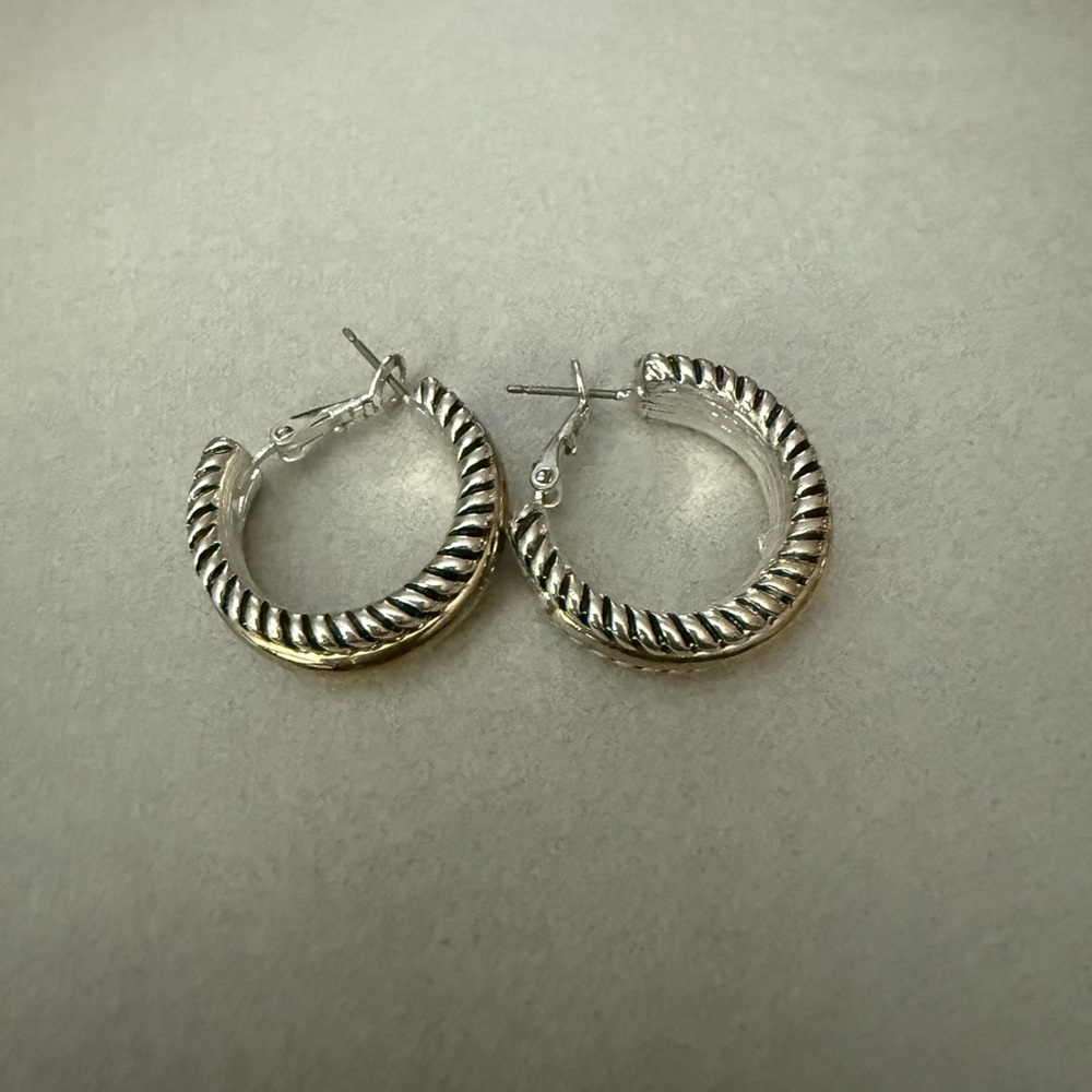 Elegant Silver Hoop Earrings
